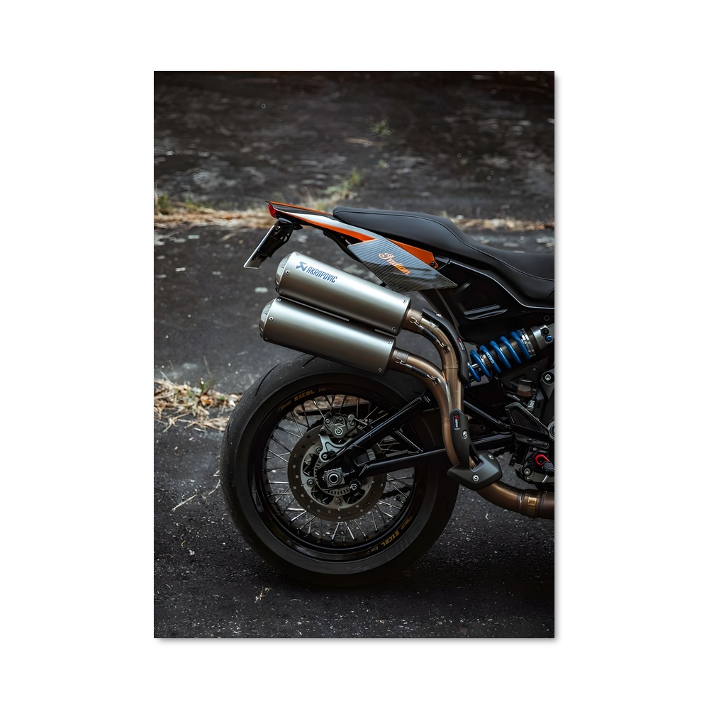 Poster magnifique Ftr